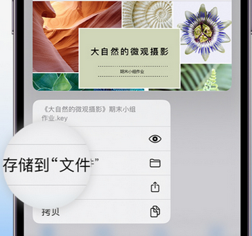 思明apple维修中心分享iPhone文件应用中存储和找到下载文件