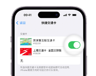 思明apple维修点分享iPhone上更换Apple Pay快捷交通卡手绘卡面 