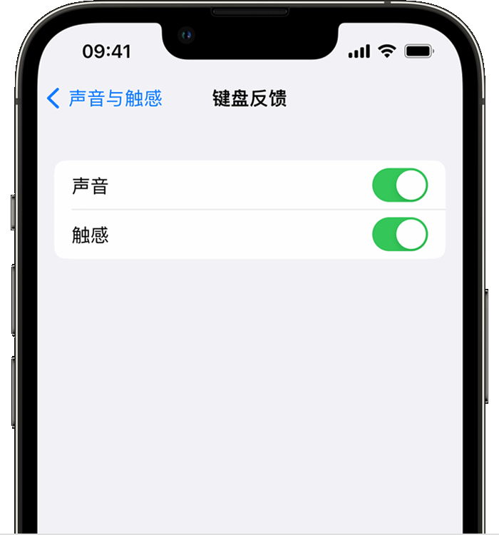 思明苹果14维修店分享如何在 iPhone 14 机型中使用触感键盘 