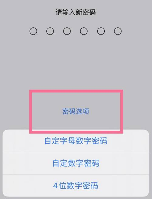 思明苹果14维修分享iPhone 14plus设置密码的方法 