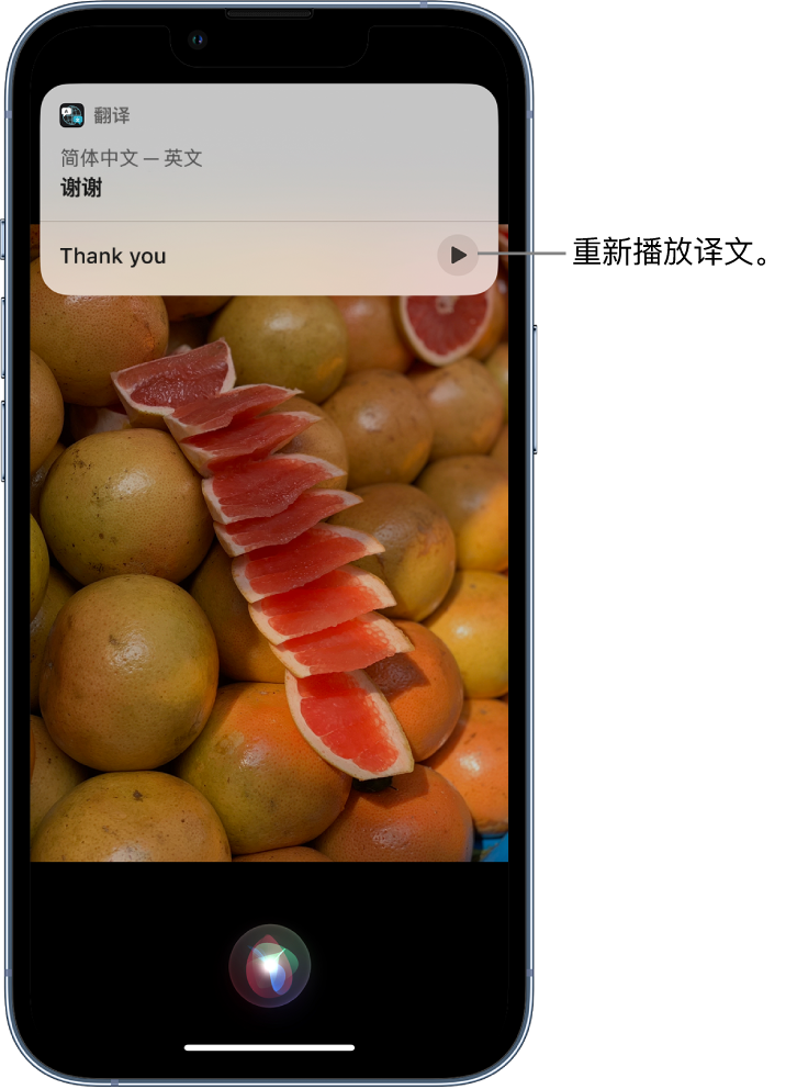 思明苹果14维修分享 iPhone 14 机型中使用 Siri：了解 Siri 能帮你做什么 