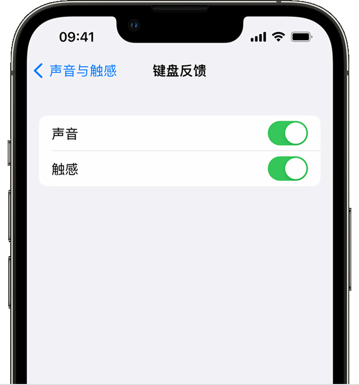 思明苹果14维修分享iPhone 14 系列机型如何开启键盘声音或触感反馈 