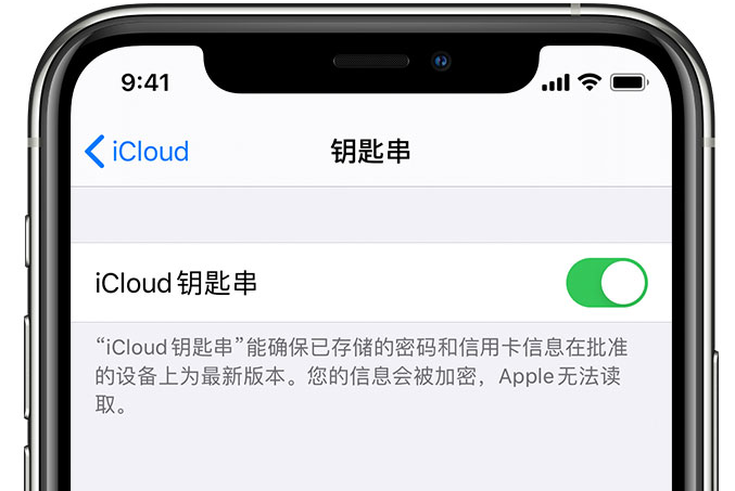 思明苹果手机维修分享在 iPhone 上开启 iCloud 钥匙串之后会储存哪些信息 
