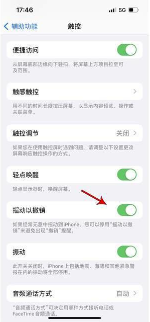 思明苹果手机维修分享iPhone手机如何设置摇一摇删除文字 