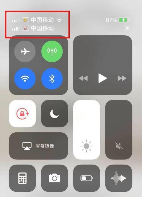 思明苹果手机维修分享为 iPhone 12 双卡设置标签 